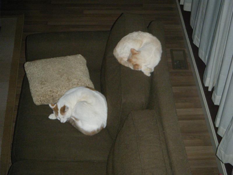christmas2009 326.jpg